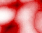 red hat linux