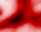 access linux platform virenscanner linux