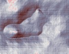 linux wallpaper wirtschaftsschule des kreises steinfurt