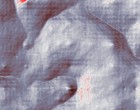 prof rose steinfurt