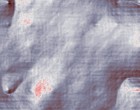 stefanie taeuber steinfurt