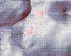 betriebssystem linux